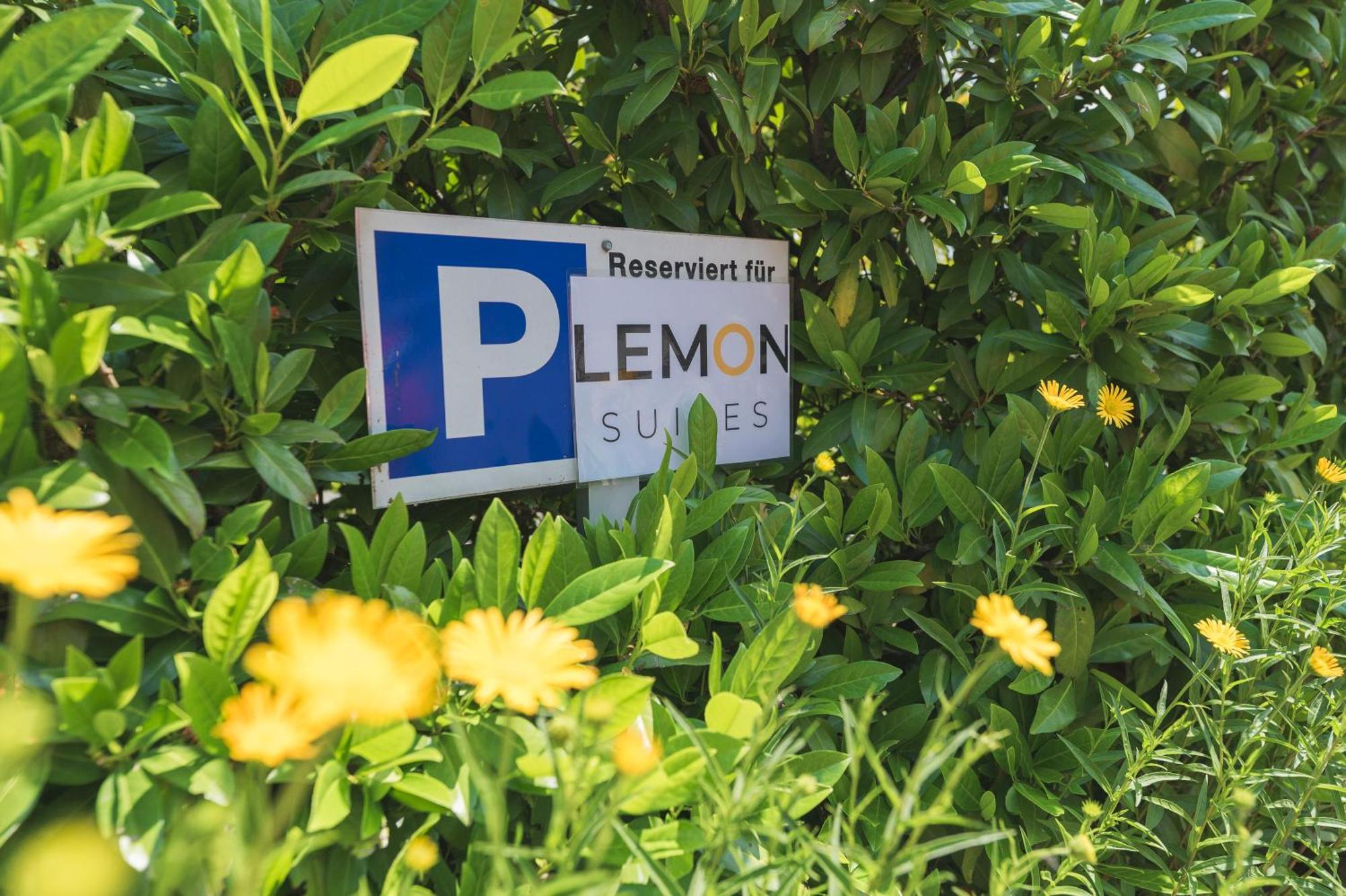 Lemon Suites Hildrizhausen - Ideal Fuer Teams Und Monteure 외부 사진
